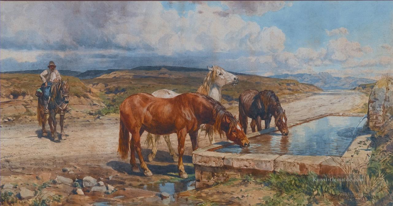 Pferde trinken aus einem Stein durch Enrico Coleman Genre Ölgemälde